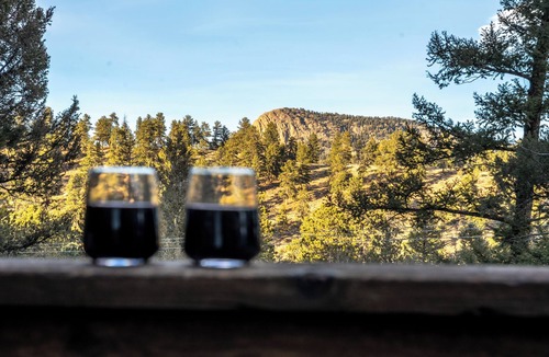 Bailey House | Lux! Sauna, Hot Tub, Game Room, Fire Pits | Bailey Mountain Retreat