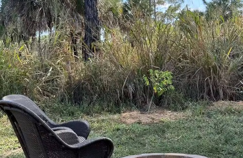 Rural Estates Cabin | Luxury off-grid passionfruit covered shipping container immersed in nature.