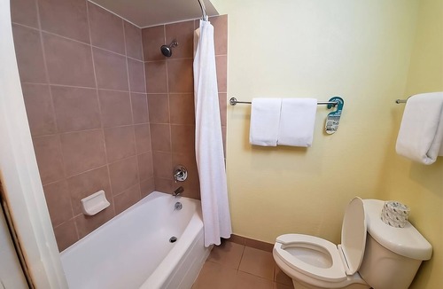 Crystal River Hotel | Manatees Experience! Everything You Need For The Perfect Vacation! Pool!