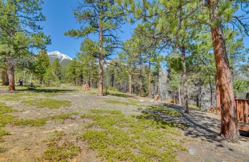 Buena Vista House | 'McCall Creekside Cabin' Secluded Buena Vista Gem!