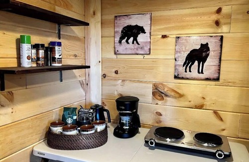Ranger Cabin | Million Dollar Mountain View at Bear Den studio!