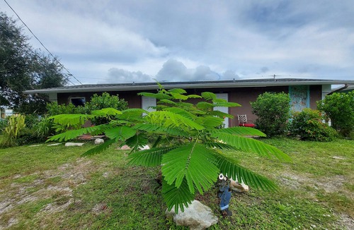 Tropic Apartment | Minimalist private studio @ Eau Gallie Downtown, spacious in size of 650 sqft.
