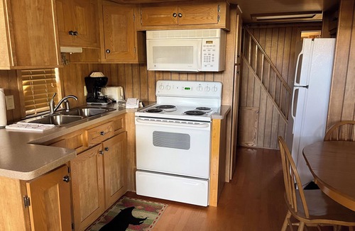 Almont Cabin | Modern "Tiny Home" Style Cabin on Taylor River with Private Fishing Access