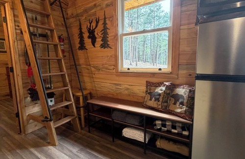 Gulnare Cabin | Newly built 1-bedroom cabin with loft in charming Aguilar for a cozy stay