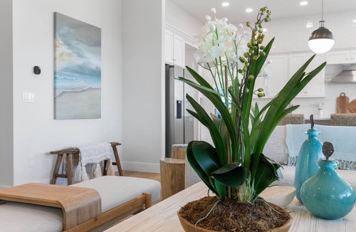 Palm Coast House | Oceanfront 6 Bedroom Heated Pool Home in Cinnamon Beach! Barefoot Sands!