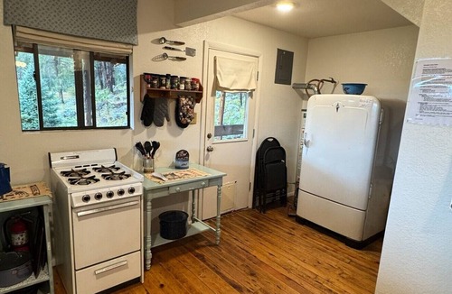 Alpine Cabin | Off-Grid Cabin w/Meadow in White Mountains. 45m from Alpine near Black River