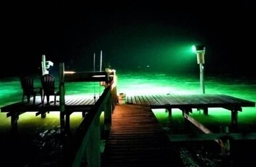 Port Mansfield House | On the Rocks. Three Bedroom, Two Bath. Private Fishing Pier.