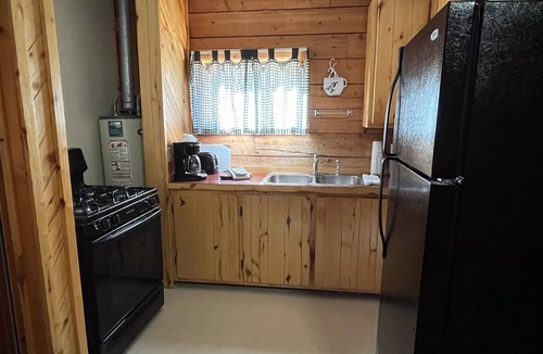 Almont Cabin | One Bedroom Cabin with Ample Parking and Space from Neighboring Cabins