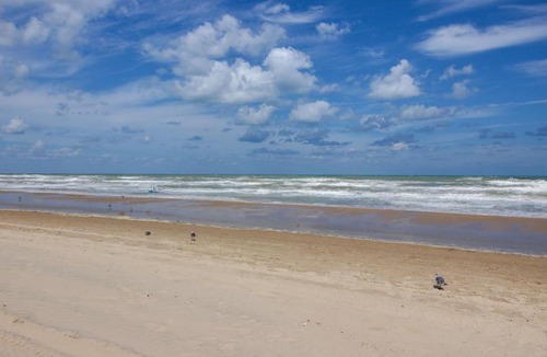 South Padre Island Apartment | Palm Tree Escape