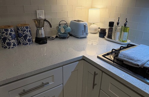 Brandon Apartment | Perfect apartment with AC in charming Valrico, and bbq outdoor area , relaxing