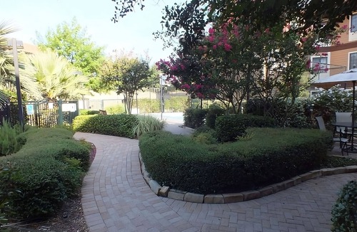 Las Colinas Apartment | Pet-friendly Property! w/Free Parking, Near Parmenter Gazebo Garden!