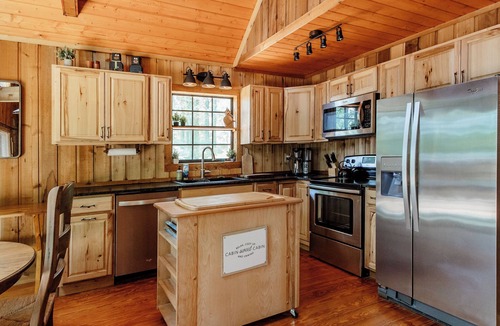 Tiger Cabin | Pet-Friendly Spacious Mountain Cabin w/Hot Tub - 5 min to Downtown - EV Charger