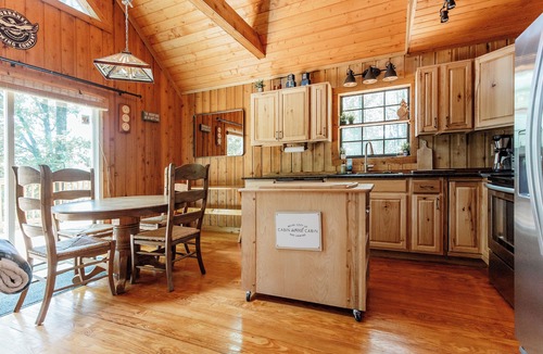 Tiger Cabin | Pet-Friendly Spacious Mountain Cabin w/Hot Tub - 5 min to Downtown - EV Charger