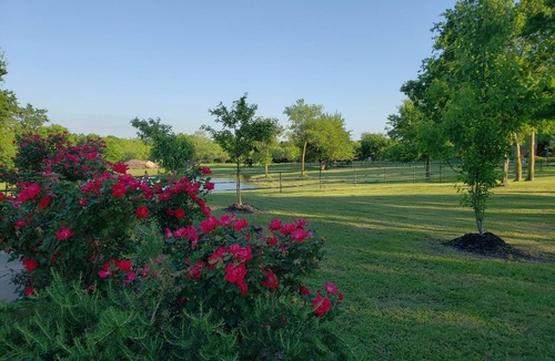 Ennis Cottage | Pristine, fragrance free, countryside cottage & Wellness Center on 20 acres.