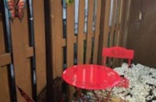 Homestead Apartment | Private 1/1 Studio w/Private Entrance