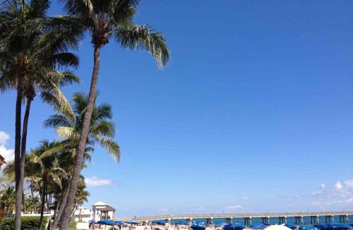Pompano Beach Apartment | Private Suite Apartment 3 Miles to the Beach