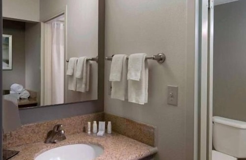Boca Raton Hotel | Relaxation and Fun in the Sun! Pet-Friendly, Explore the Local Area, Pool!