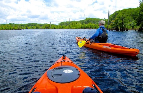 Wewahitchka House | Rustic Lakefront Glamping Under the Stars with River Accesss & Kayaking in Wewahitchka, Florida