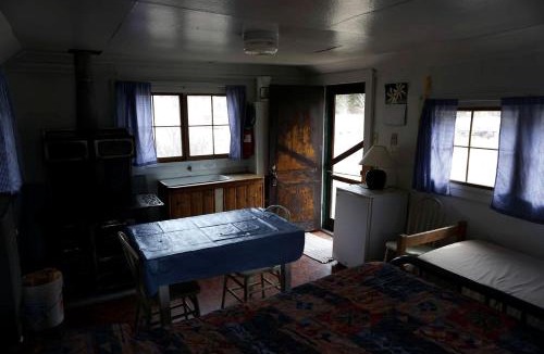 Bellvue House | Rustic, Pet Friendly Cabin near the Cache la Poudre River, Perfect for a Mountain Getaway