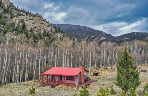 Tarryall Cabin | Secluded Forest Cabin on 3 Acres Near Eleven Mile Reservoir/Fishing