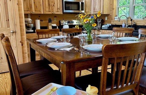 Black Mountain Cabin | Secluded Log Cabin w/Stunning Mountain Views, Hot Tub, Cold Plunge, Fire Pit