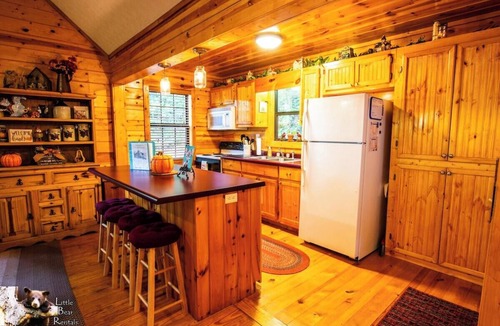 Young Harris Cabin | Second Heaven - Fireplace - Hot Tub
