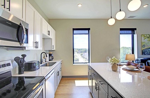 Cleveland Apartment | Serene 2 Bed/2 Bath | Cleveland Clinic | Free Garage