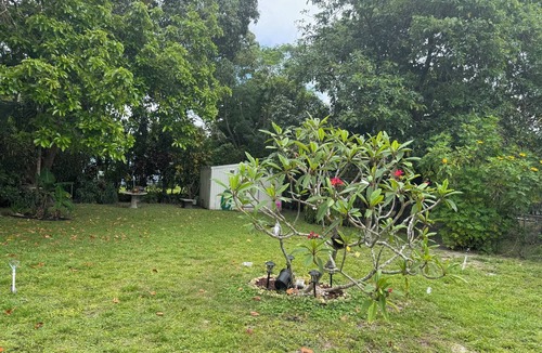Miami Shores House | Stay, Relax & Explore , Minutes from Miami Beach & Downtown