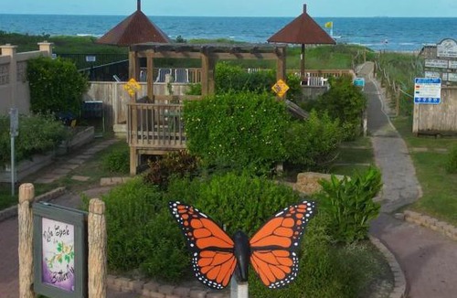 South Padre Island Apartment | Steps to Beach, Near Blackbeard's Restaurant