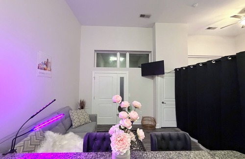 Charlotte Apartment | Stylish Modern Studio, Steps from Dining & Entertainment