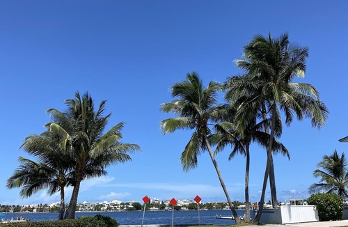 East Ocean Ave Apartment | Sunny 1 Bed 2 Bath Apt Steps From Water and 5min to Beach