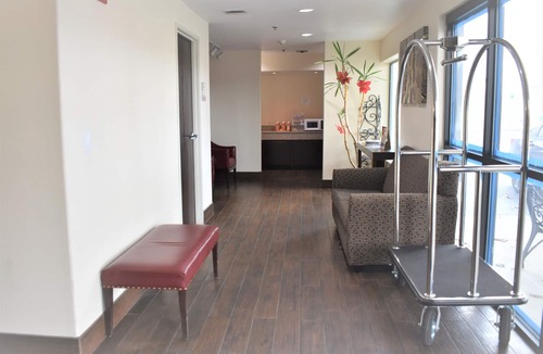 New Braunfels Hotel | Super 8 by Wyndham New Braunfels I-35