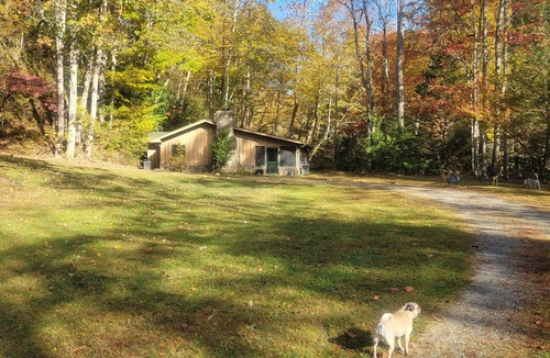 Hiawassee Cabin | The Extra House Extra Cozy Extra Cute