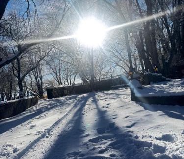 Alamosa House | The Gratitude Homestay