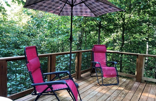 Hayesville Cottage | The Hummingbird Hideaway in Shooting Creek. Pet Friendly!