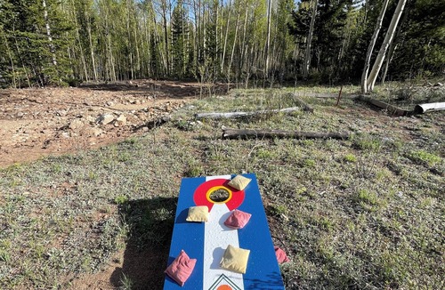 Alma House | The Snow Shack 2BR w Hot Tub, Stream, Fireplace, Steam Rm on 5 Acres Near Breck