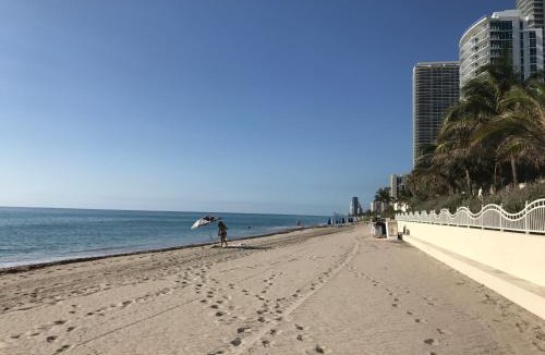 Hollywood South Central Beach Apartment | THE TIDES on MIAMI HOLLYWOOD
