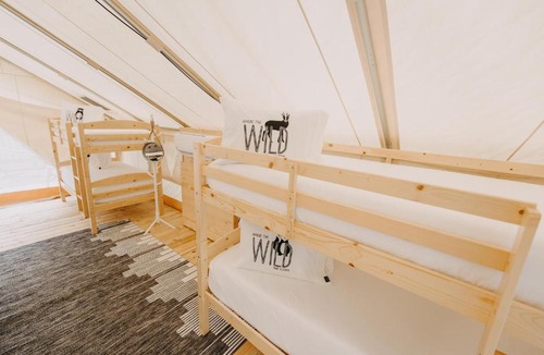 Dawsonville Other | Timberline Glamping at Amicalola Falls
