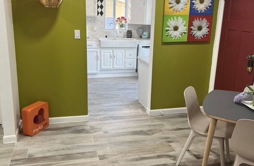 Roosevelt Park House | Tiny tropical Orlando Univesal-Disney