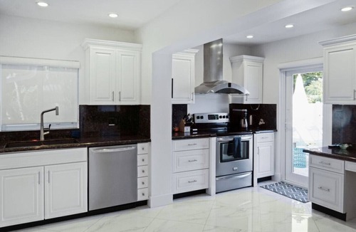 Wilton Manors House | Towering Palms in Wilton Manors