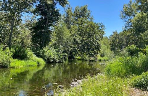 Kaweah House | Tranquil Riverfront Studio