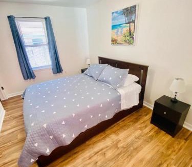St. Petersburg Apartment | Two Fully Equipped Apartments and a Studio 5 miles from the beach