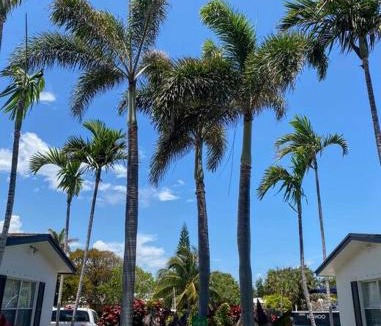 Pompano Beach Apartment | Villa#4 House in Pompano at 4 minutes from the beach!