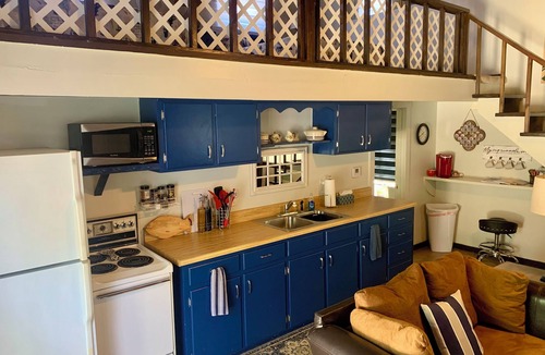 Crystal River House | Waterfront Loft with Free Water Access to Three Sisters Springs