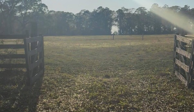 29 acre private campground in soothing Laurel Hill perfect for adventure