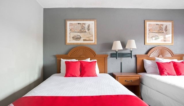4 Pet Friendly Rooms Near Downtown Ocala and with Outdoor Swimming Pool