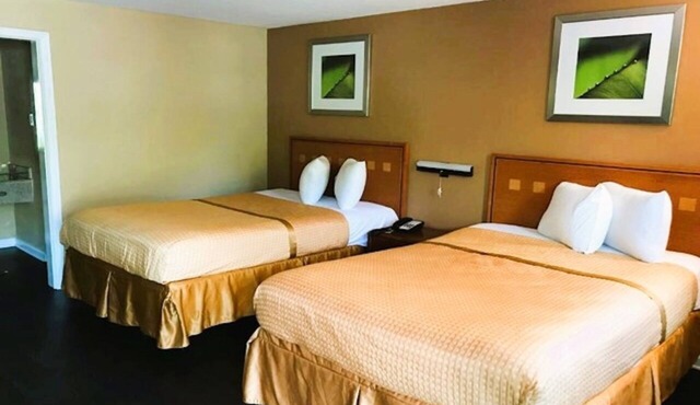4 Rooms Near Donald L. Tucker Civic Center - 1.2 miles away | Free Parking