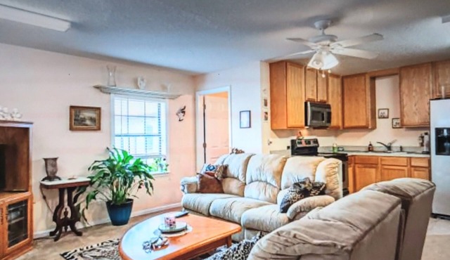 Absolutely Gorgeous home walking distance to Dr's Lake on Fleming Island!
