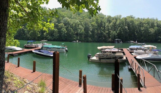 Affordable! Pet friendly! Close to Clemson! Boat slip included!