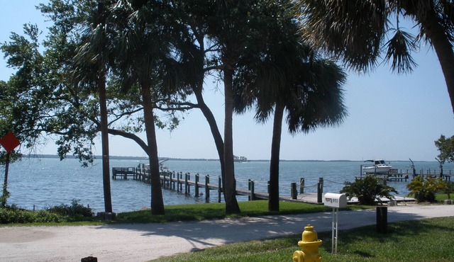 Beautiful Downtown Condo in the Heart of Dunedin